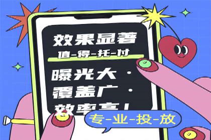 谷歌竞价广告与SEO结合的营销案例解析